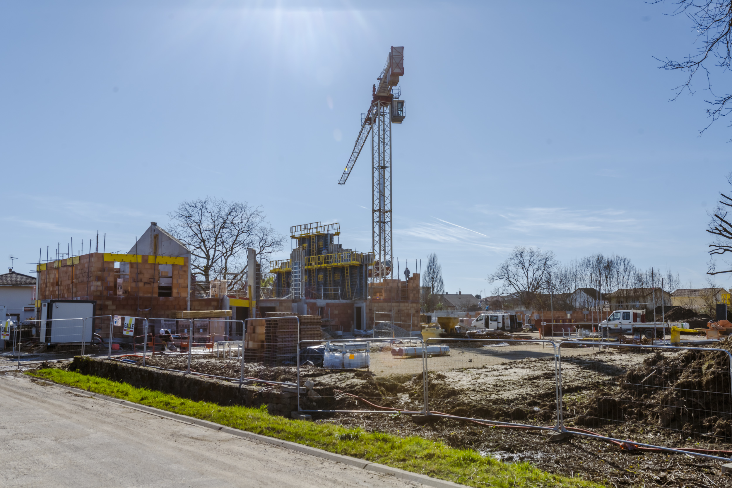 26-02GallefévrierPolliat-Canabae-713