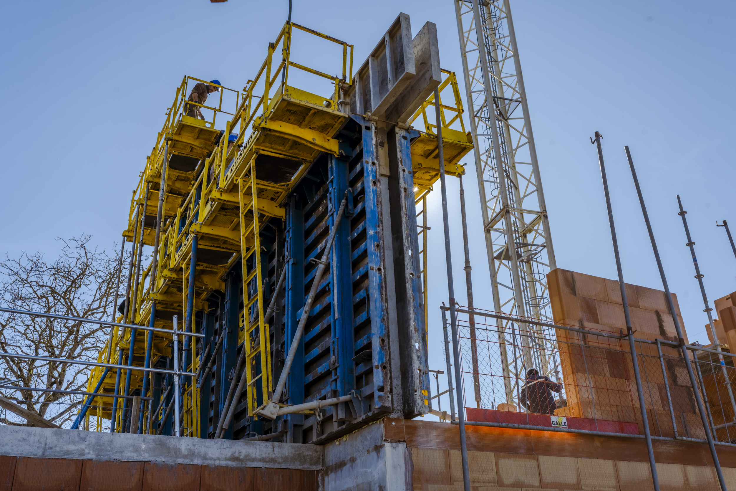 26-02GallefévrierPolliat-Canabae-714