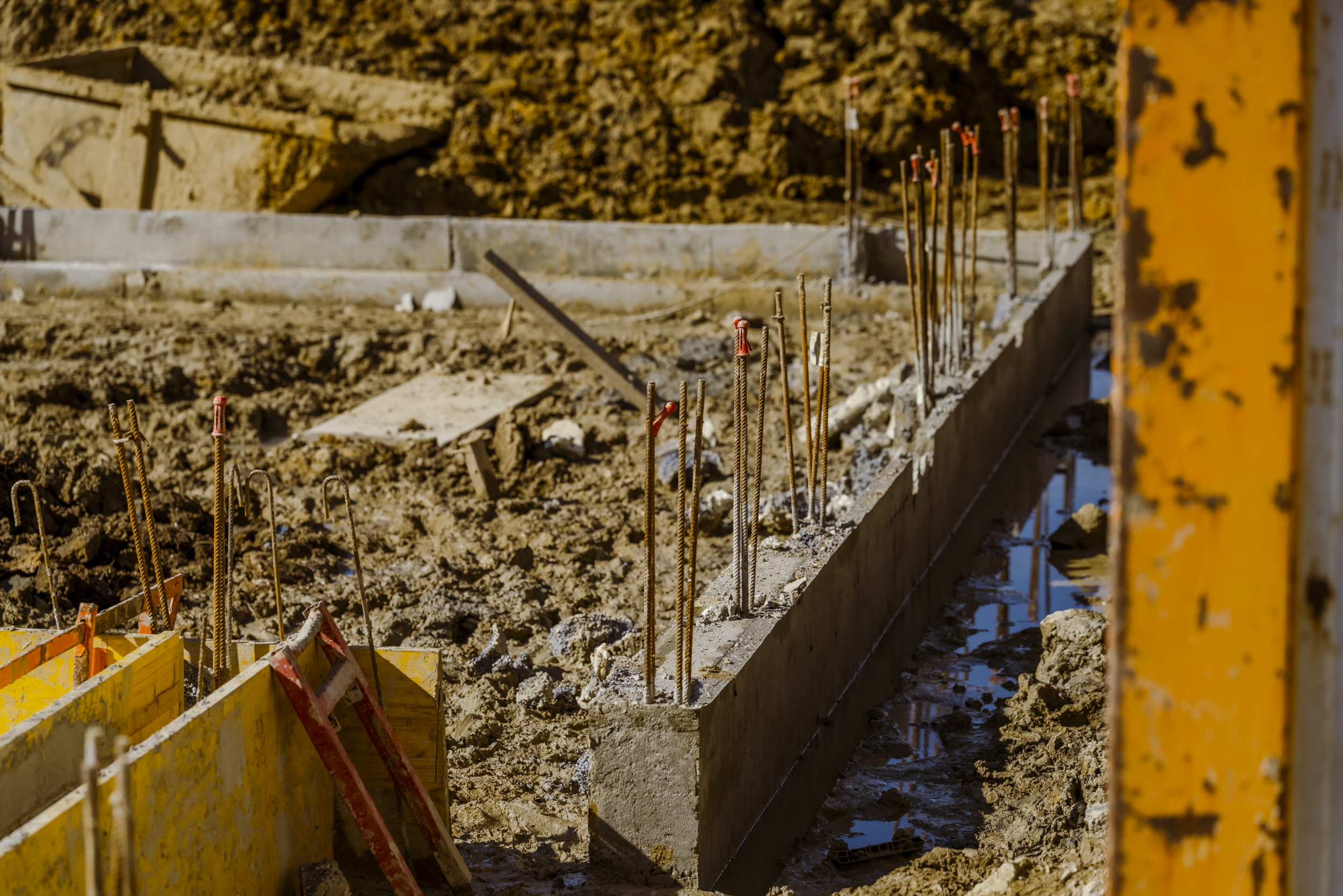 26-02GallefévrierSaintétiennedeB-Canabae-78