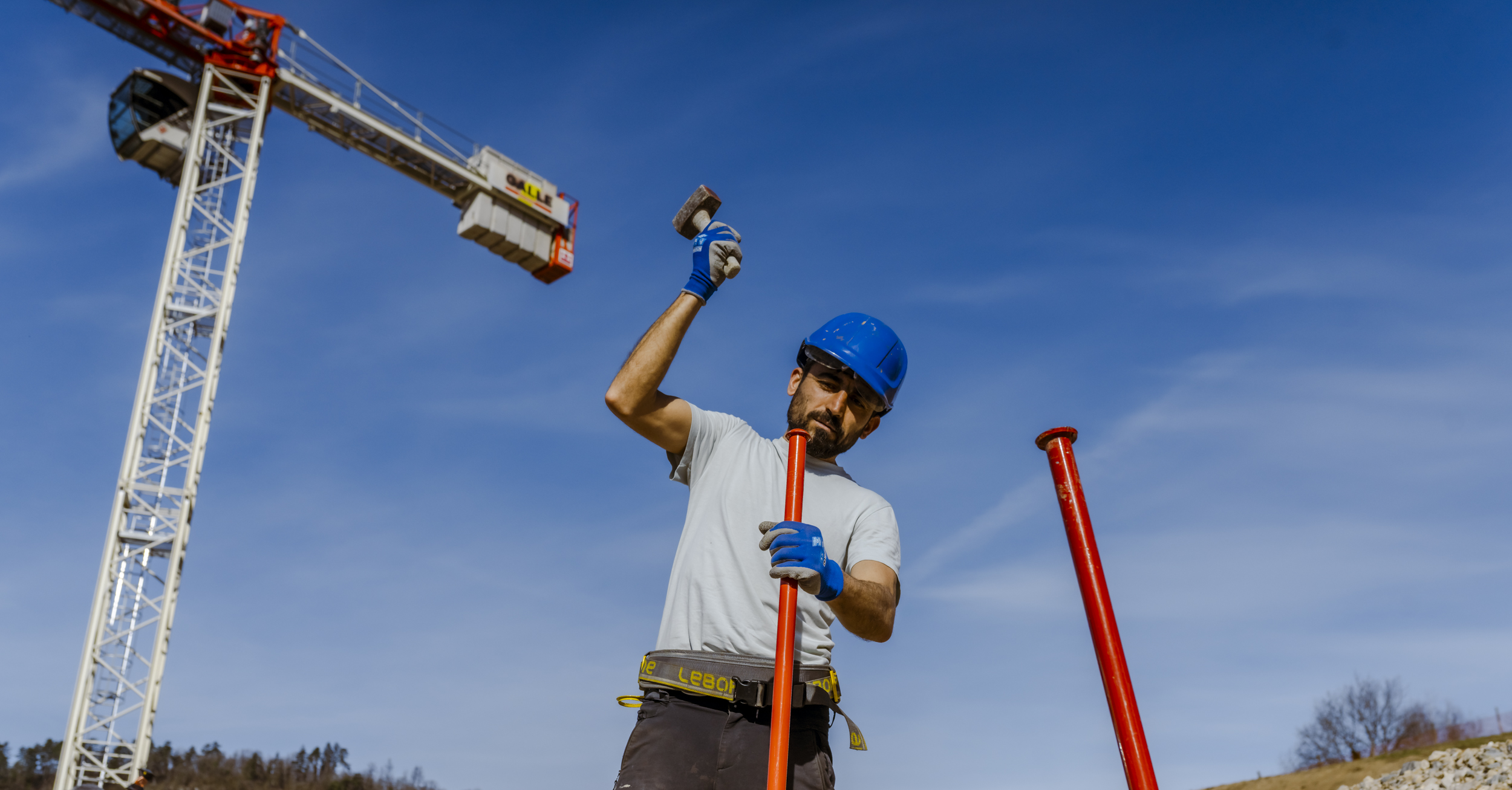 26-02GallefévrierimpdesLysandres-Canabae-77